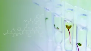 Decoding "Biotech Beauty"Sustainable & Potent Ingredients Shaping the Future of Indian Cosmetics